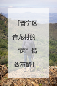 晋宁区青龙村的“菌”情致富路